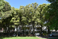 Hotel Janeiro Jesolo
